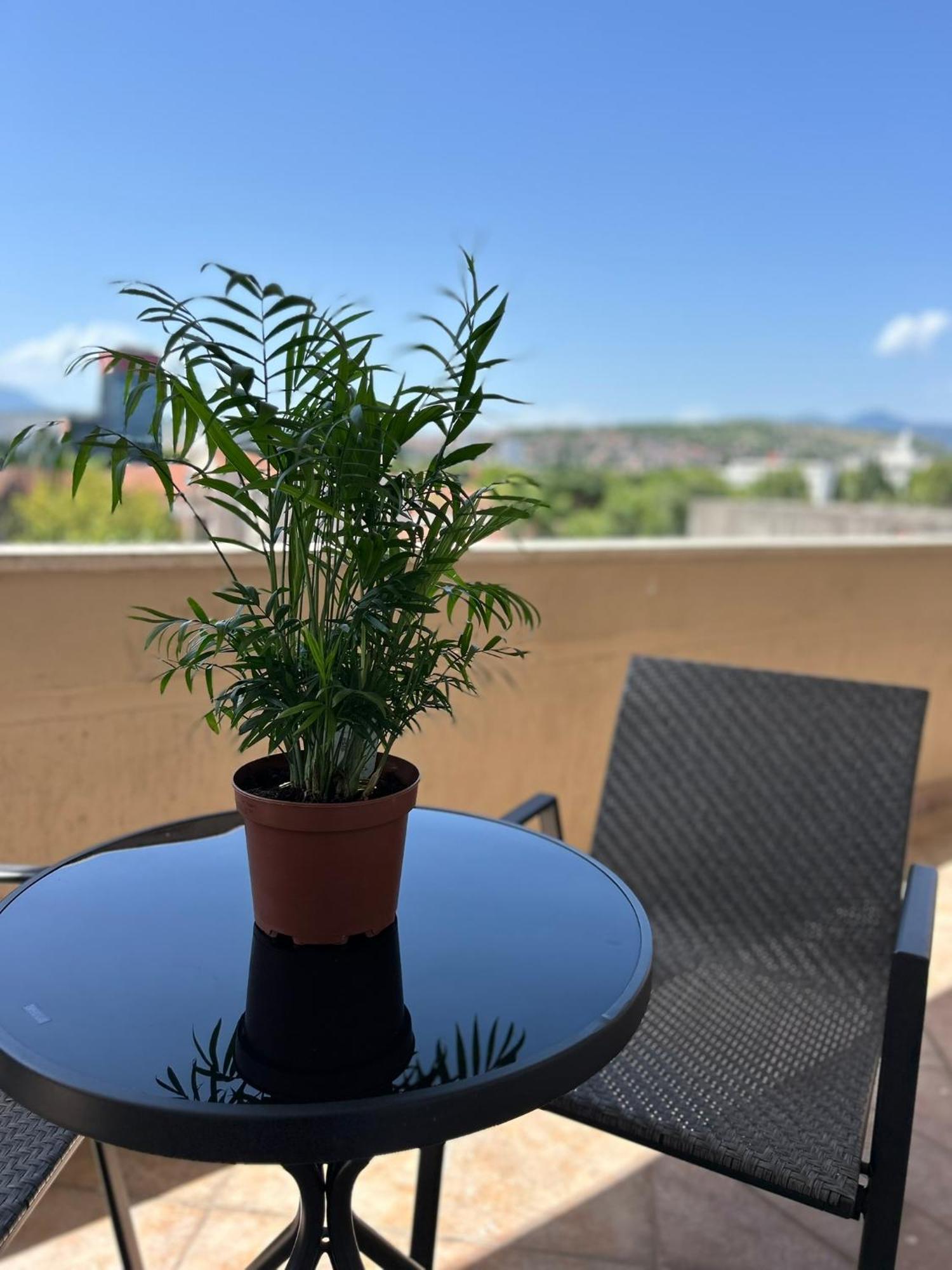 Hotel Bojatours Podgorica Exteriér fotografie
